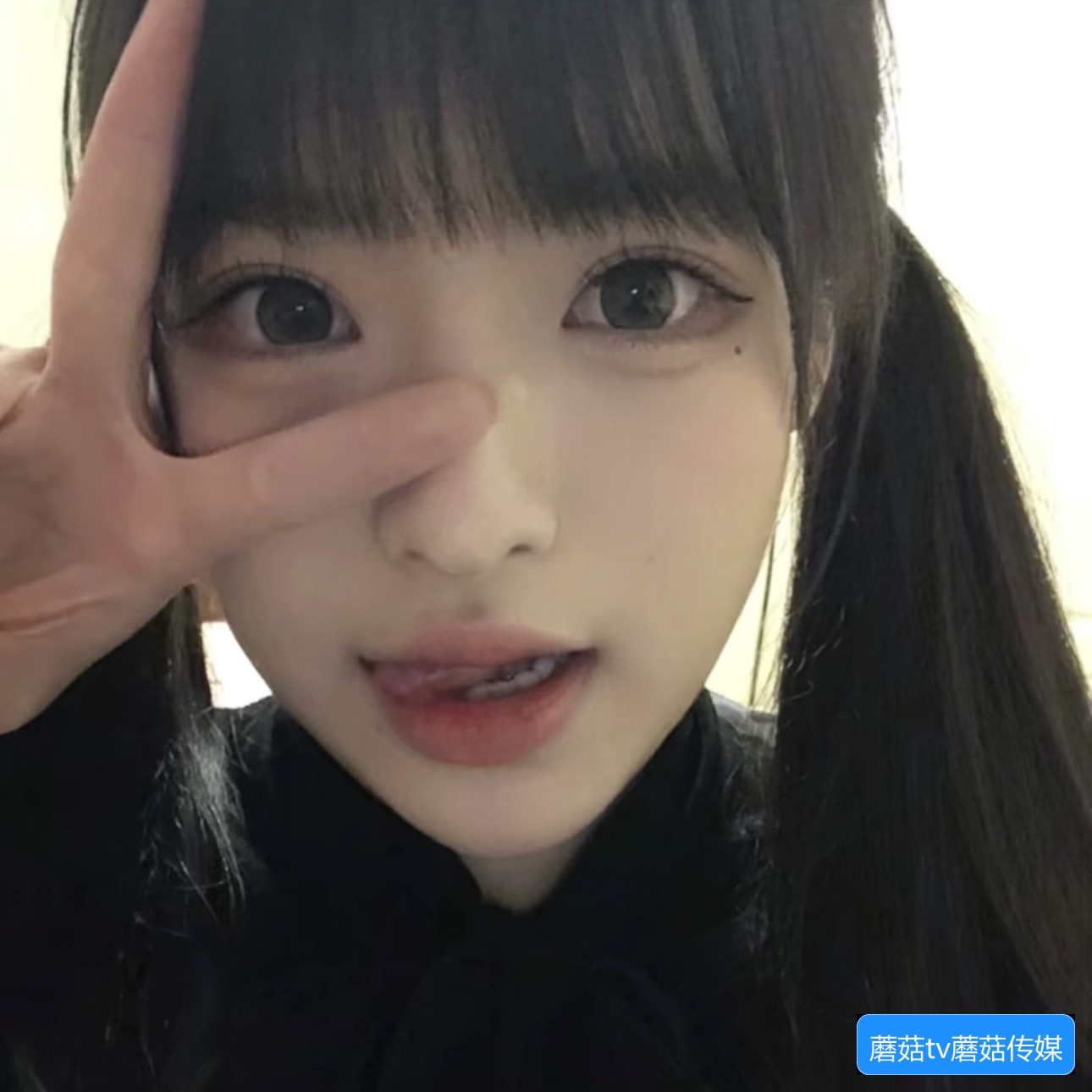 使用第三方工具下载蘑菇TV视频