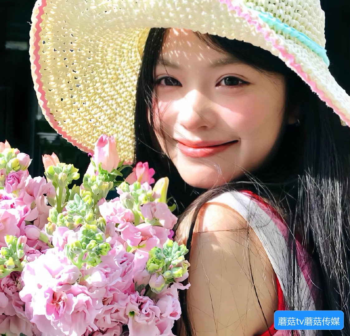 蘑菇TV网页版怎么下载观看指南与使用方法