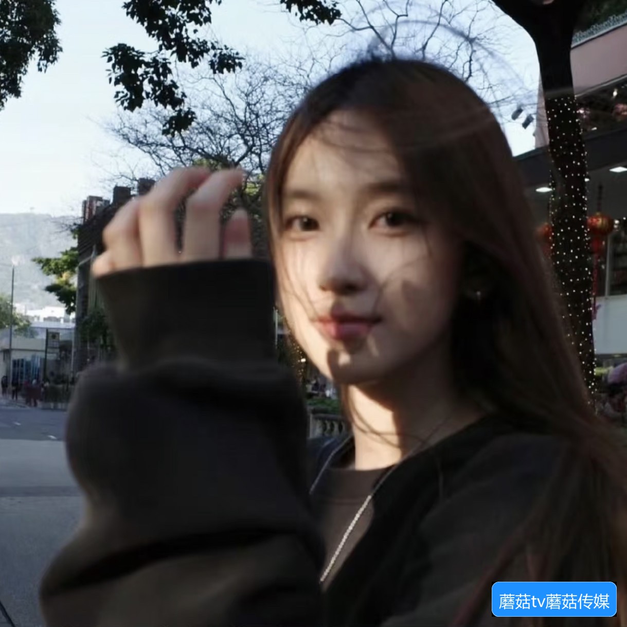 蘑菇TV平台界面示意