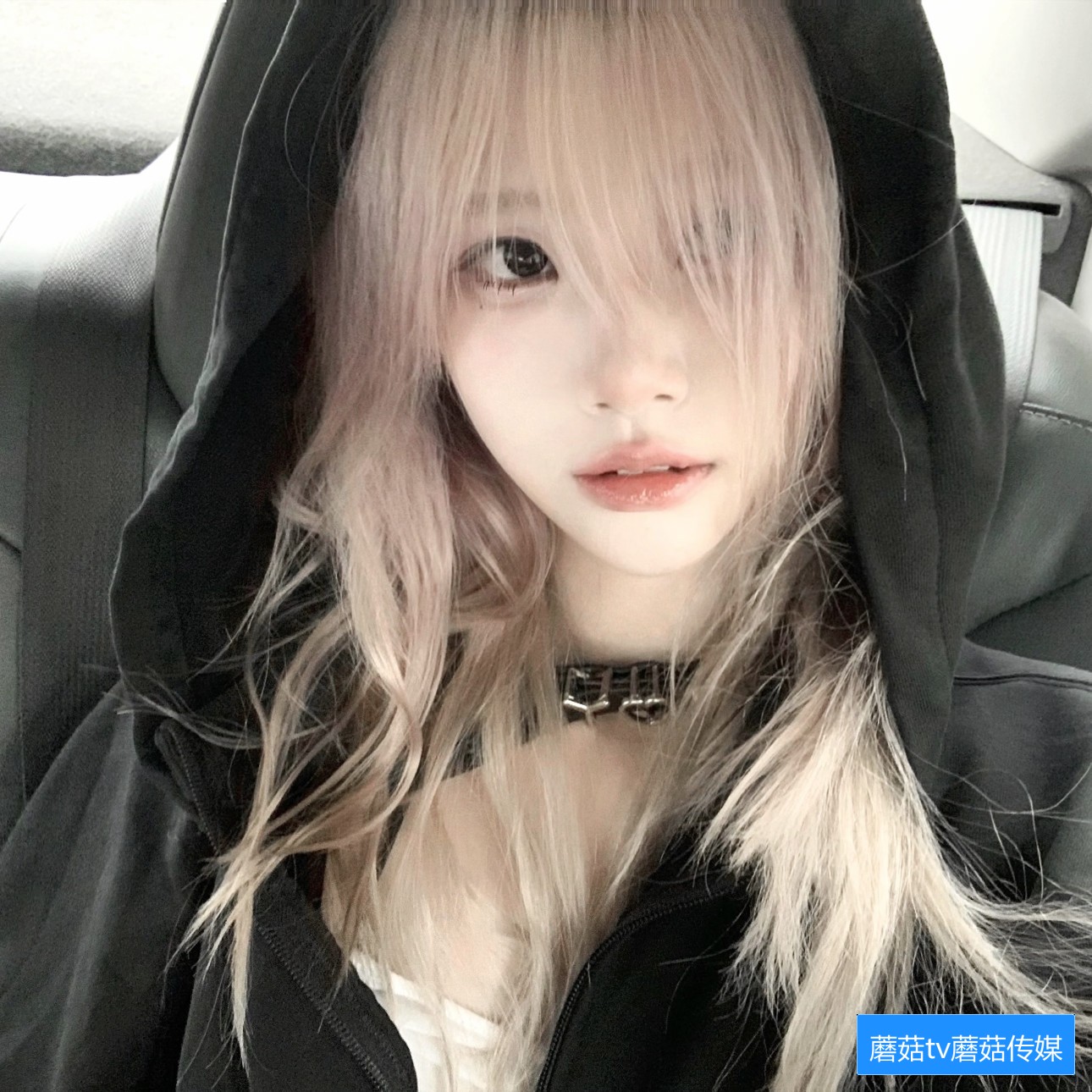 蘑菇TV网页版界面