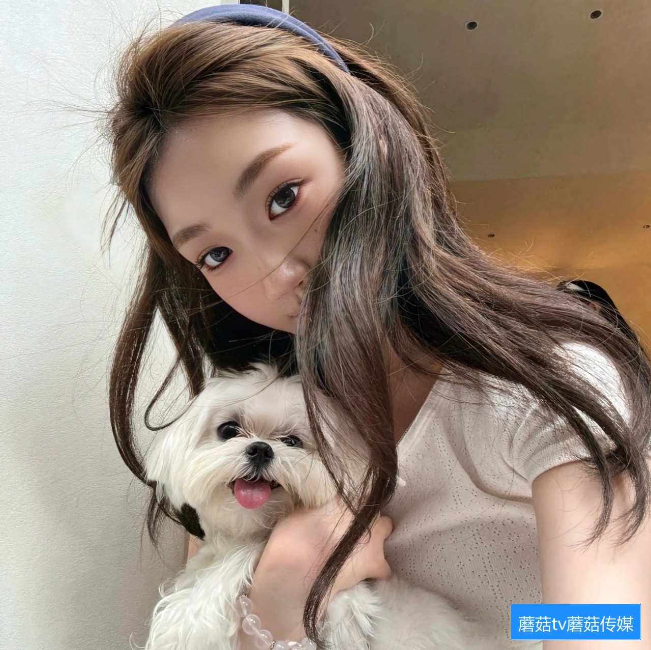 蘑菇TV网页三秒跳转问题怎么解决及原因分析